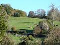 2010-1110-1220_Morden_Dorset_7C